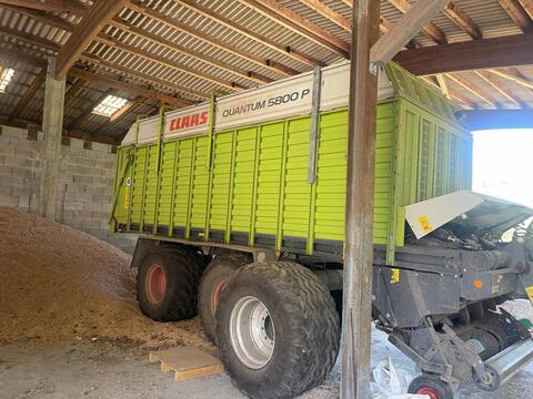 Claas Quantum 5800 P