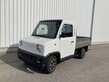 Sonstige E-TRANSPORTER TR100