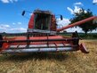 Massey Ferguson MF 36 AL 