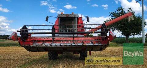 Massey Ferguson MF 36 AL 3