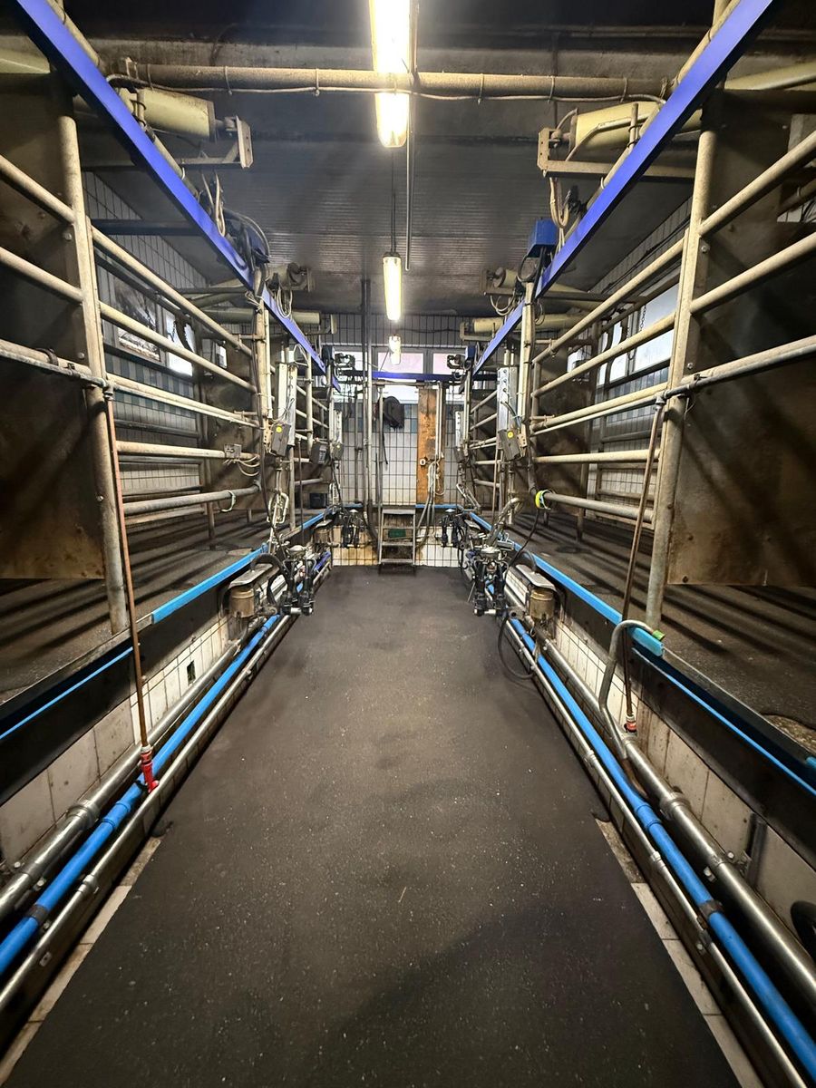 De Laval Auto Tandem D 4 2