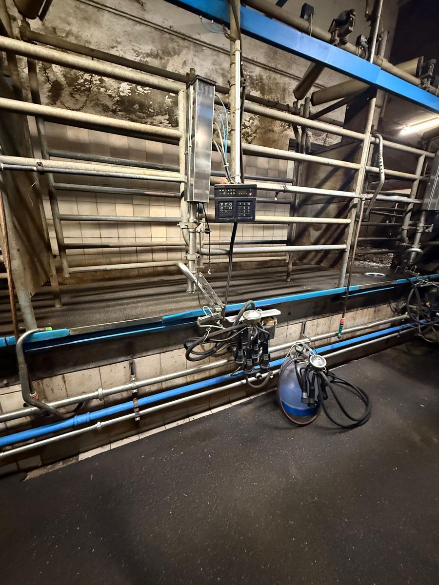 De Laval Auto Tandem D 4 3