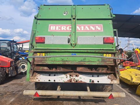 Bergmann TSW 3140 T