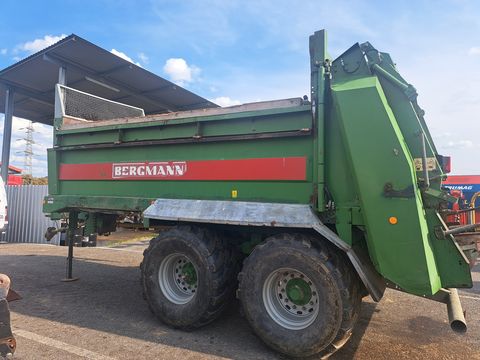 Bergmann TSW 3140 T
