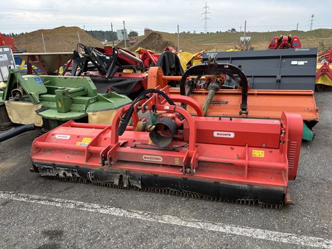 Maschio  Bisonte 280