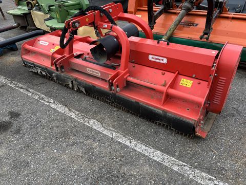 Maschio  Bisonte 280