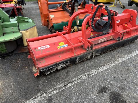 Maschio  Bisonte 280
