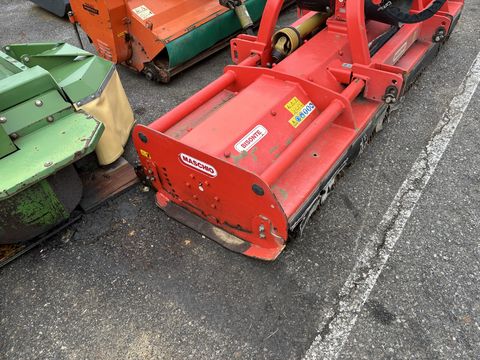 Maschio  Bisonte 280