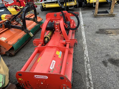Maschio  Bisonte 280