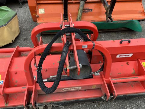 Maschio  Bisonte 280