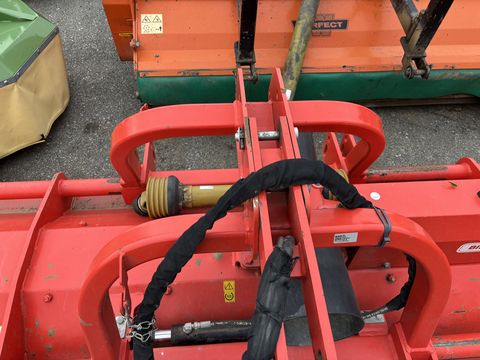 Maschio  Bisonte 280
