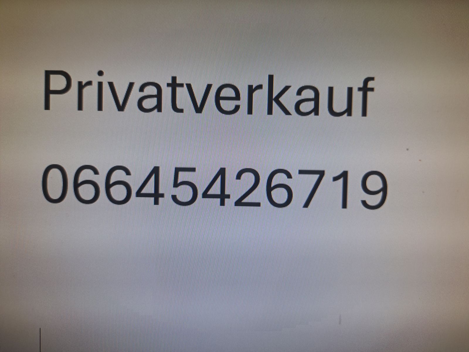 Steyr Profi 6125 Profimodell 2