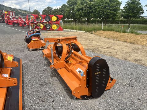 Berti Dual 300