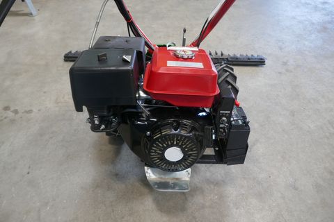 Rapid Rex mit E-Start