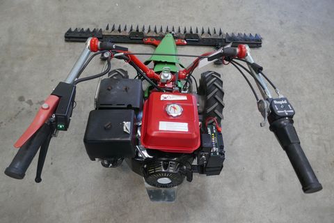 Rapid Rex mit E-Start