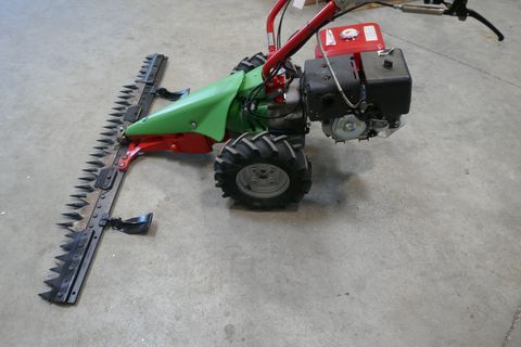 Rapid Rex mit E-Start