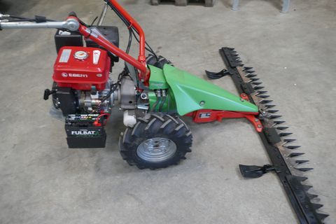 Rapid Rex mit E-Start