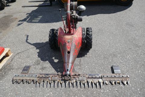 Aebi AM 7