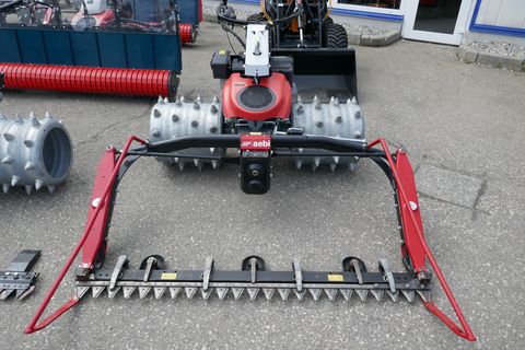 3600-13d99df4241f708086dd62a261405752-5667125