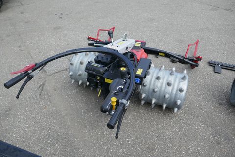 3600-13d99df4241f708086dd62a261405752-5667125
