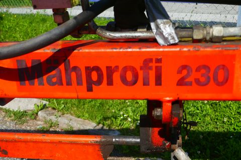 Hartmann Mähprofi 230