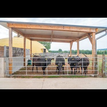 Sonstige Patura Profi-Weidezauntor 5 - 6 m