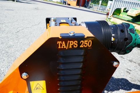 Berti TA/PS 250