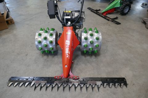 3600-870f7d6498897bd5963e85ac52546036-6116370