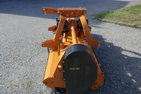 Berti Dual 250