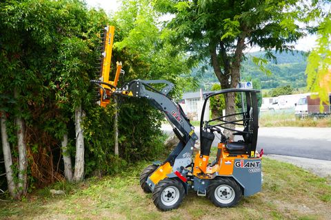 Giant G 1100 + Giant Heckenschere