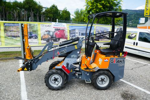 Giant G 1100 + Giant Heckenschere