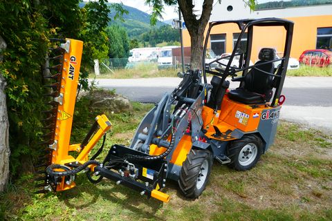 Giant G 1100 + Giant Heckenschere