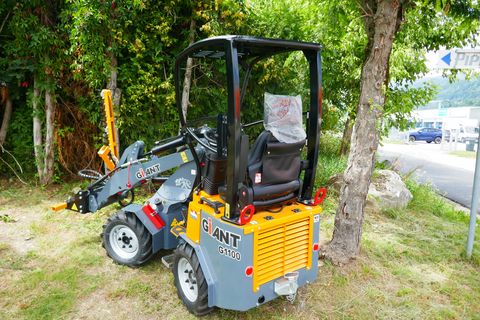 Giant G 1100 + Giant Heckenschere