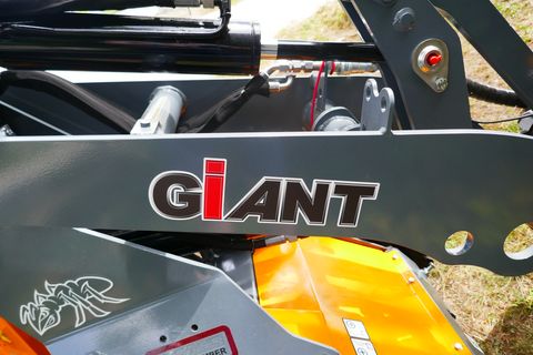 Giant G 1100 + Giant Heckenschere