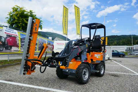 Giant G 1100 + Giant Heckenschere
