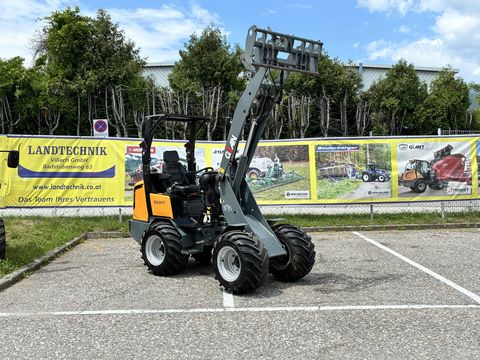 Giant D 337 T