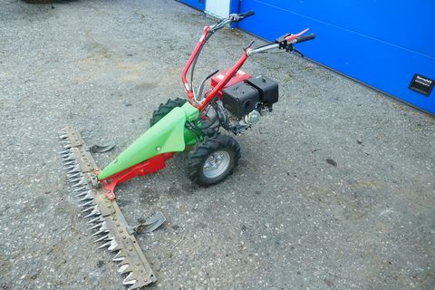 Rapid Rex 