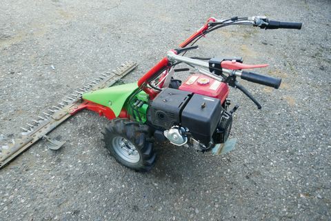Rapid Rex 