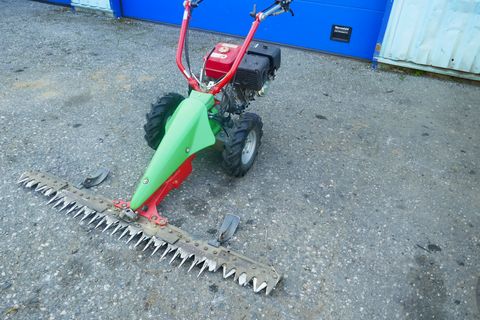 Rapid Rex 