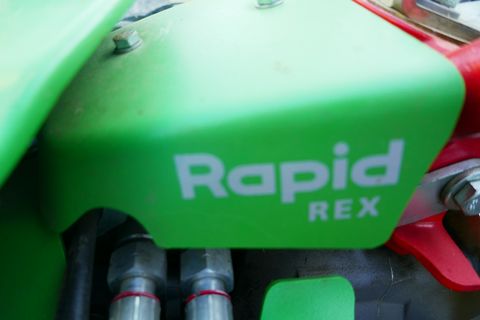 Rapid Rex 
