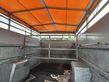 3600-dfc820725d1f71910931de5d0553c49c-6006808