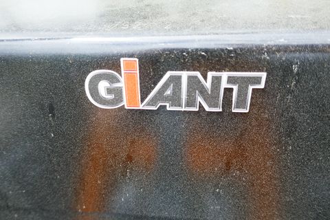 Giant Krokozange Giant-Aufnahme