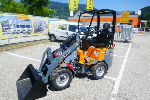 Giant G 1100 