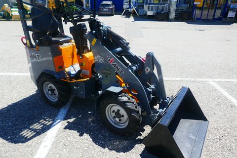Giant G 1100 