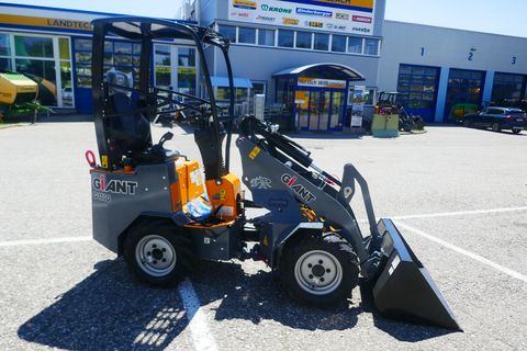 Giant G 1100 