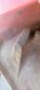3602-a9bdeccace53c4c6164cceb4f7db53f8-6006652
