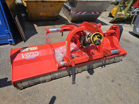 Vigolo MX 250