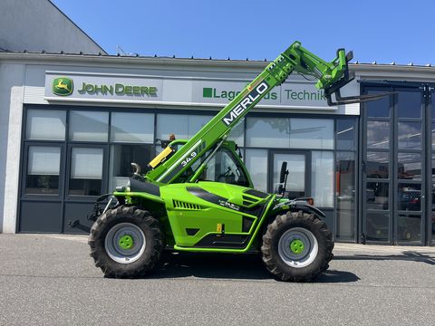 Merlo