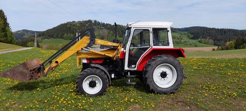 Steyr 955 A