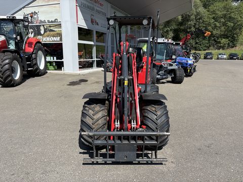 Schäffer 2630